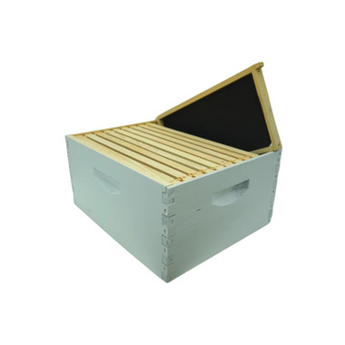 Assembled 9 5/8" Deep Hive Kit with Plastic Coated Foundation and Assembled Frames,Z194, Mann Lake Ltd.