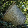 Bee Swarm Trap