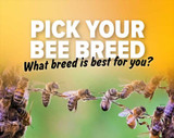Picking Your Honey Bee Breed